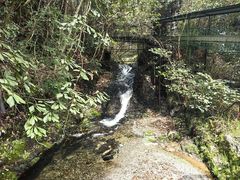 -夏霖九天银瀑风景区
