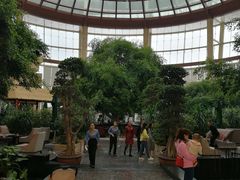 -三岔湖环球融创天堂洲际酒店水乐园