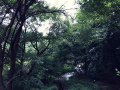 -参仙谷生态旅游度假区
