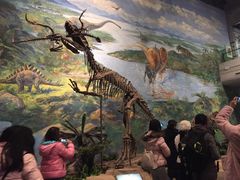 -自贡恐龙博物馆