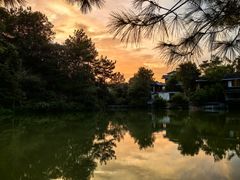 -仙店农庄(湖景农庄餐厅)