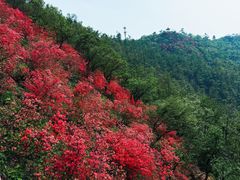 -莫干山风景区