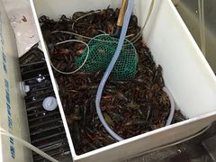-龙虾奇迹(大华三路店)