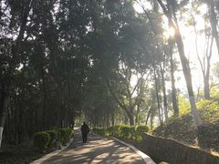 -攀枝花公园