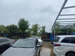 -南汇新场正宗水蜜桃采摘