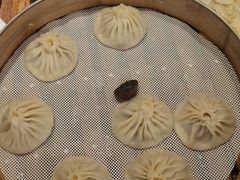 -宋都禾源·灌汤包子(汉兴路直营店)