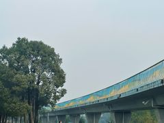 -白鹭湾湿地公园