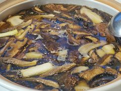 -爱膳菌锅锅(阳南店)