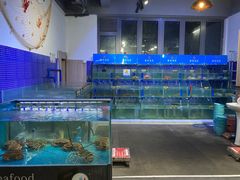 水产区-蟹老板的海鲜