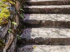 -鹿院坪生态旅游景区