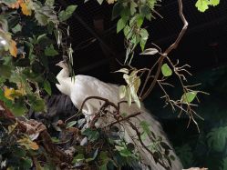-Zoolung Zoolung动物主题公园(海信广场店)