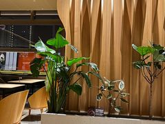 -Bco豆库(星耀天地店)