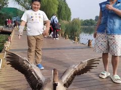 -郭守敬纪念馆