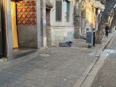 -四季民福烤鸭店(故宫店)