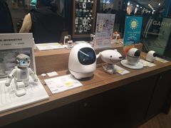 -顺电·脉(浦东嘉里城店)