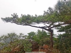 -兴盛大桥