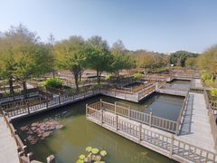 -五缘湾湿地公园