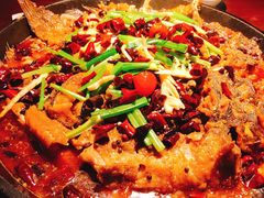 老板恋上鱼-老板恋上鱼(高新万达店)