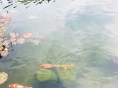 -晋江五店市传统文化旅游区