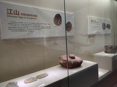-衢州市博物馆