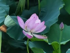 -梁鸿国家湿地公园