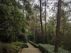 -铁山坪森林公园