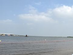 -呼兰河口湿地公园