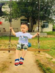 -上美四季动物农场