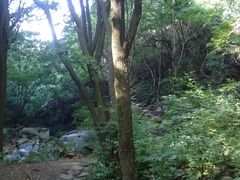 -大水川景区