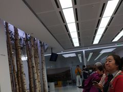 -极简口腔(总院)