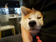 -YCHL Studios健身工作室(市二宫店)