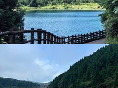 -武陵山森林公园
