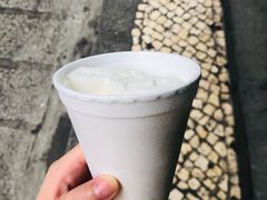 椰子雪糕-洪馨椰子