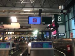 -米兰马尔彭萨国际机场