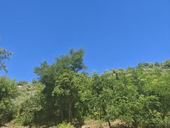 -白水寺森林公园