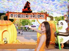 -灵玲国际马戏城
