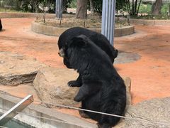 -南京金牛湖风景区