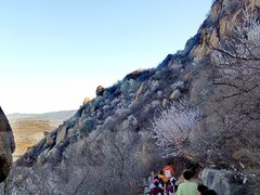 -北京凤凰岭