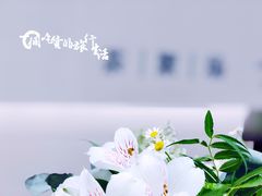 -théATRE 茶聚场(王府中環店)