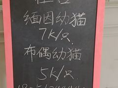 -董小姐咖妃·咖啡·简餐.意面(松江大学城店)