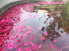 -七彩云南古滇温泉山庄