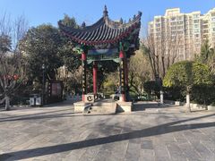 -莲湖公园
