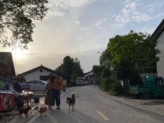 -石塘人家