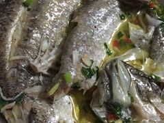 -沪碟·精菜坊(闵行店)