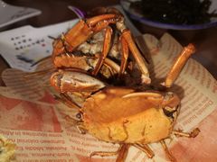 -友强·23年特色海鲜大排档(厦门店)