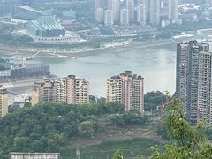 -南山植物园