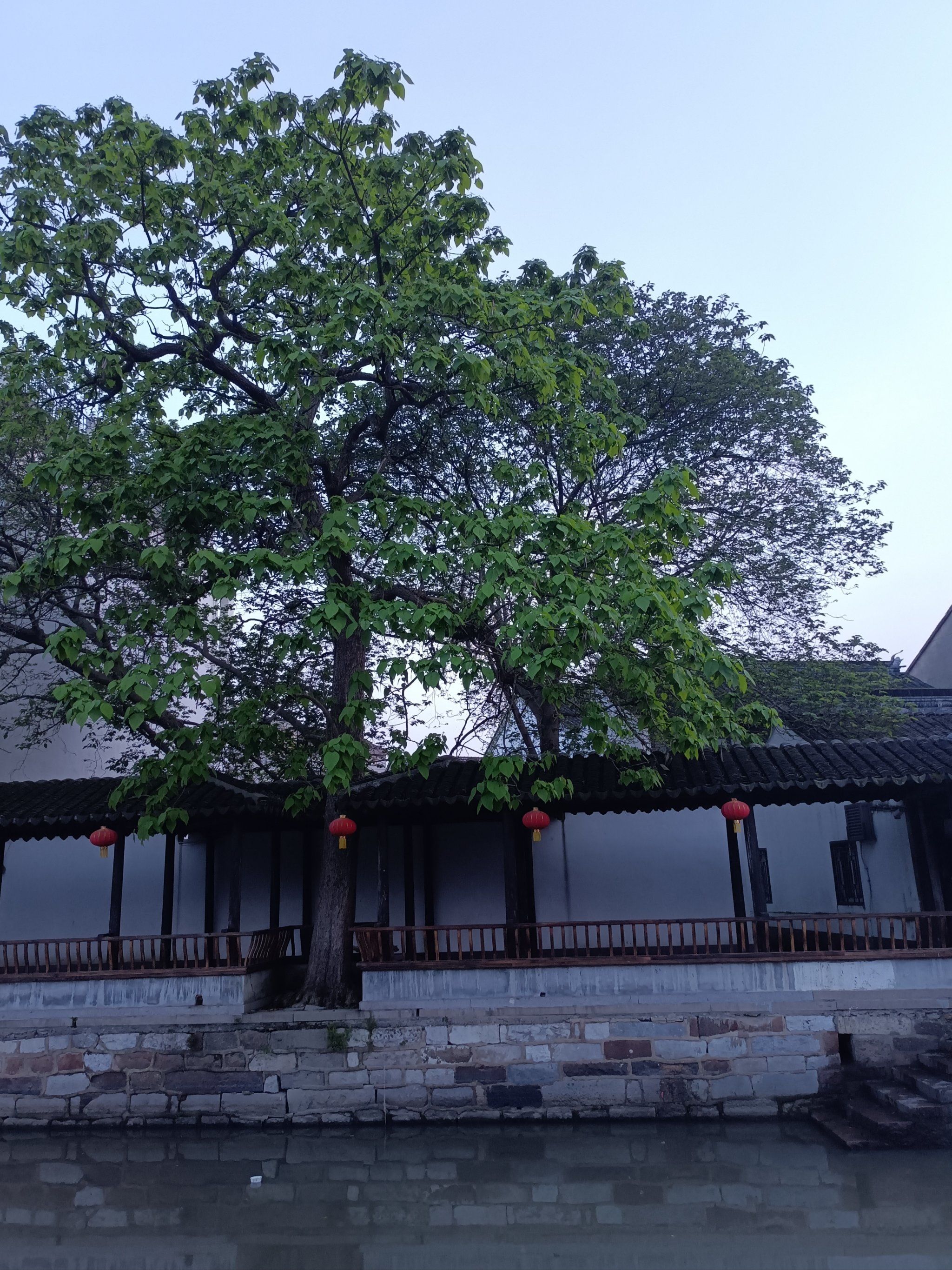 苏州吴江最南端的一个古镇桃源之铜锣古镇