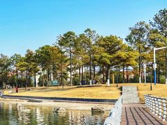 -美兰湖景区