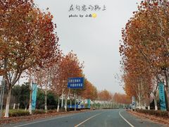 -碧桂园凤凰城酒店(南京店)