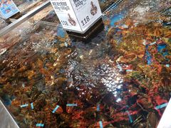 -盒马X会员店(王府井奥莱UP TOWN店)